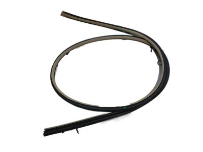 Toyota 62312-AC071-C0 WEATHERSTRIP, Front Door