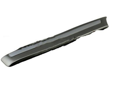 Toyota 75651-60180-B0 Body Side Molding