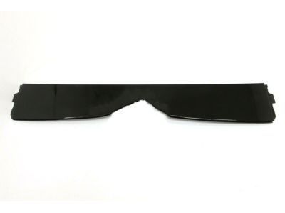 Toyota 75607-47010 Rear Molding