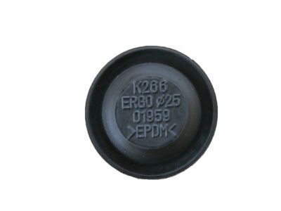 Scion 90950-01959 Plug, Hole