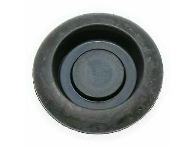 Scion 90950-01959 Plug, Hole