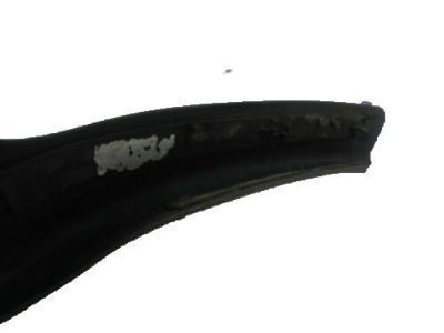 Toyota 75641-04010 Lower Molding