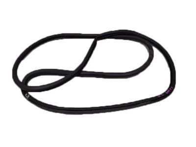 2021 Toyota Land Cruiser Weather Strip - 62331-60081