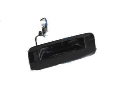 Toyota Tailgate Handle - 76802-0C010-B1