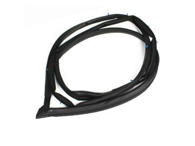 Toyota 62312-04030 Weatherstrip, Front Door Opening Trim, LH