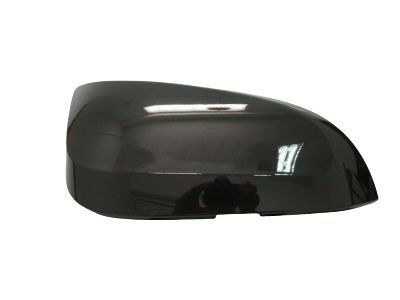 Toyota RAV4 Mirror Cover - 87915-48040-C3