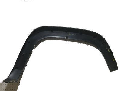 Toyota 75872-04060 Wheel Opening Molding