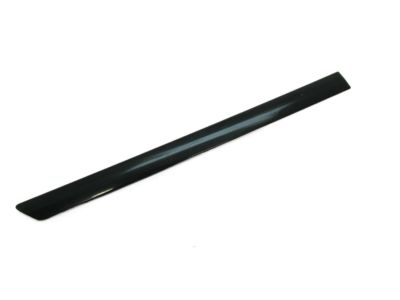 Toyota 75651-06020-C0 Body Side Molding