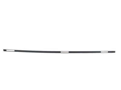 Toyota 75552-60101 Drip Molding, Driver Side