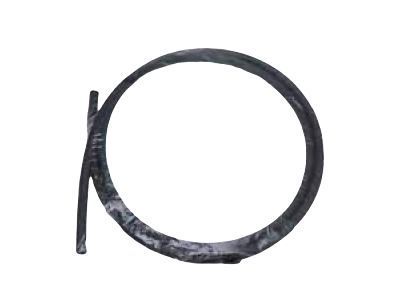 Scion SU003-02725 Washer Hose