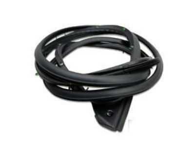 2023 Toyota Tacoma Weather Strip - 67862-04052