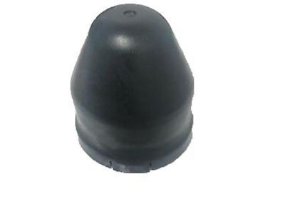 Scion 48553-52010 Cap