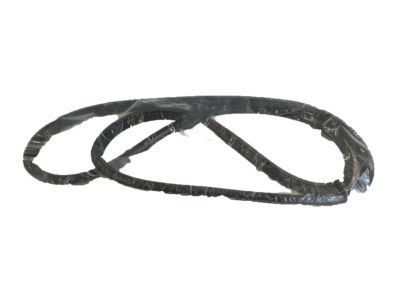 Toyota 62311-AA020 Weatherstrip, Front Door Opening Trim, RH