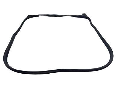 Toyota 62312-47030-B1 Weatherstrip On Body