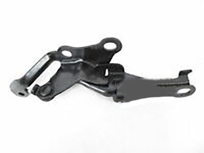 Scion 53420-12570 Hinge