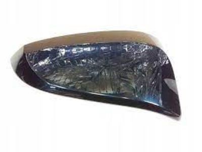 Toyota RAV4 Mirror Cover - 87915-48040-C2