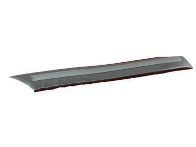 Toyota 75652-60170-H2 Body Side Molding