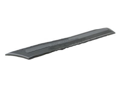 Toyota 75652-60170-H2 Body Side Molding