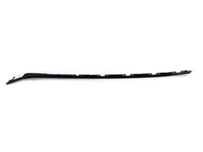 Toyota 75536-47020 Side Molding