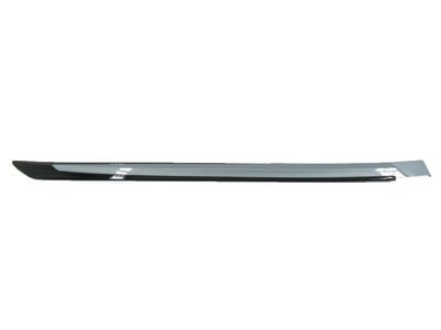 Toyota Prius Prime Door Moldings - PT938-47160-07