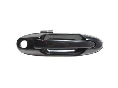 Toyota Land Cruiser Door Handle - 69210-60071-C0