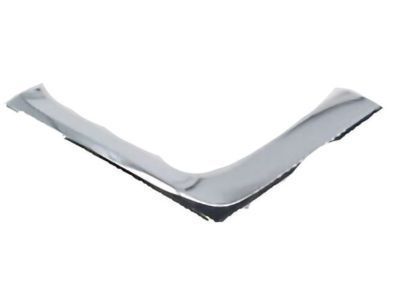 Toyota 52724-0E010 Chrome Strip