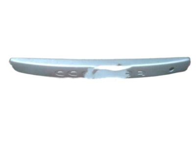 Toyota 76811-20090-B0 License Molding