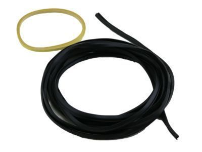 Toyota 04562-12010 Windshield Seal Kit