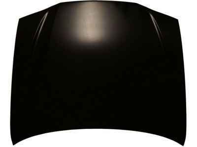 Toyota 53301-02050 Hood