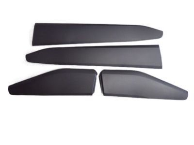 2021 Toyota C-HR Door Moldings - 75078-10011