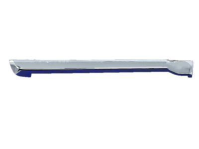 Toyota 75075-60140 Body Side Molding