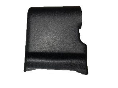 Toyota 71629-60410-C0 Hinge Cover