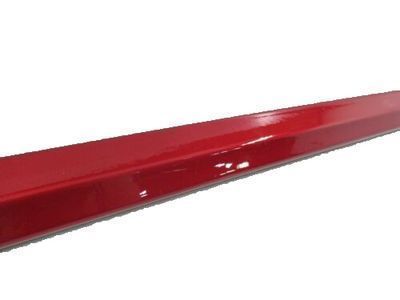 Toyota PT938-47160-04 Body Side Molding