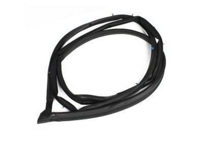 2000 Toyota Camry Weather Strip - 62312-AA020