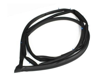 Toyota 67862-42041 Door Weatherstrip