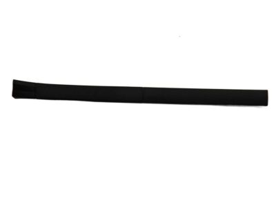 Scion SU003-06721 Sill Trim