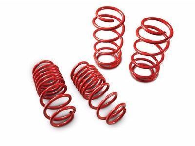 Scion Coil Springs - PTR07-74110