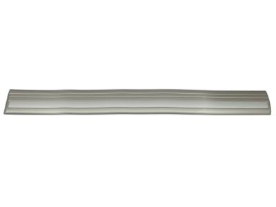 Toyota 75731-60120-E1 Body Side Molding