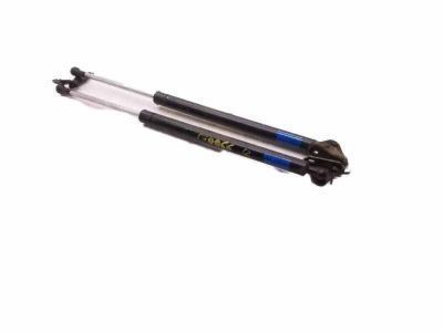 Toyota 68960-49025 Lift Cylinder