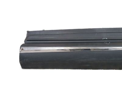 Toyota 75074-42021 Lower Molding