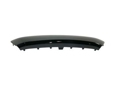 Toyota 53114-WB003 Molding