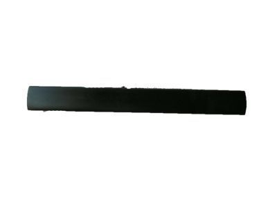 Toyota 75551-60110 Front Molding