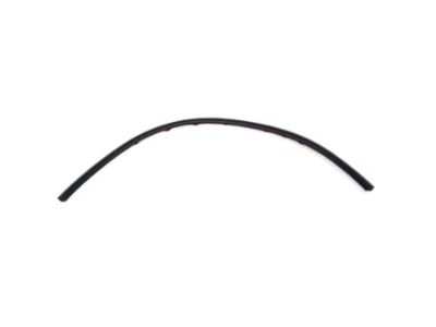 Scion 75571-52030 Side Molding