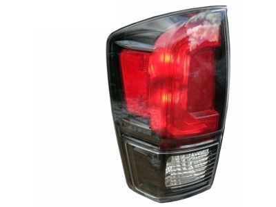 Toyota Tacoma Back Up Light - 81560-04200