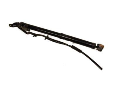 Toyota RAV4 Liftgate Lift Support - 68920-49055