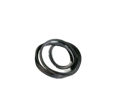 Scion 67881-74010 Weatherstrip