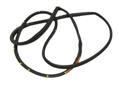 2000 Toyota Land Cruiser Weather Strip - 67862-60101