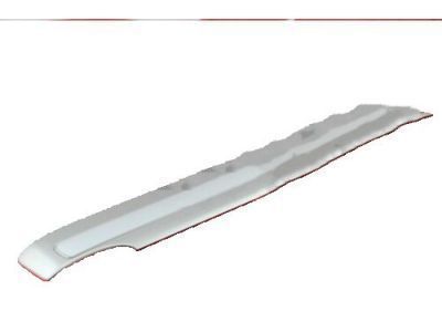 Toyota 75652-60170-B0 Body Side Molding