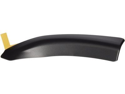 Toyota 75631-04020 Lower Molding