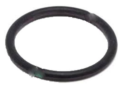 Scion SU003-03599 Strainer O-Ring